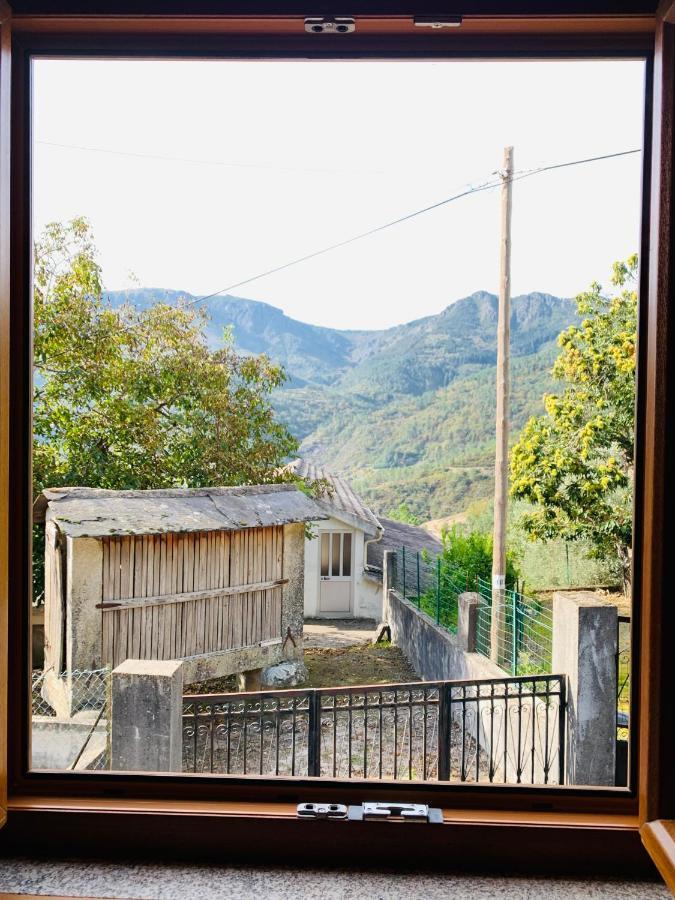"Casa Do Avo Armindo" Mountain Experience Villa วีลาเรอัล ภายนอก รูปภาพ