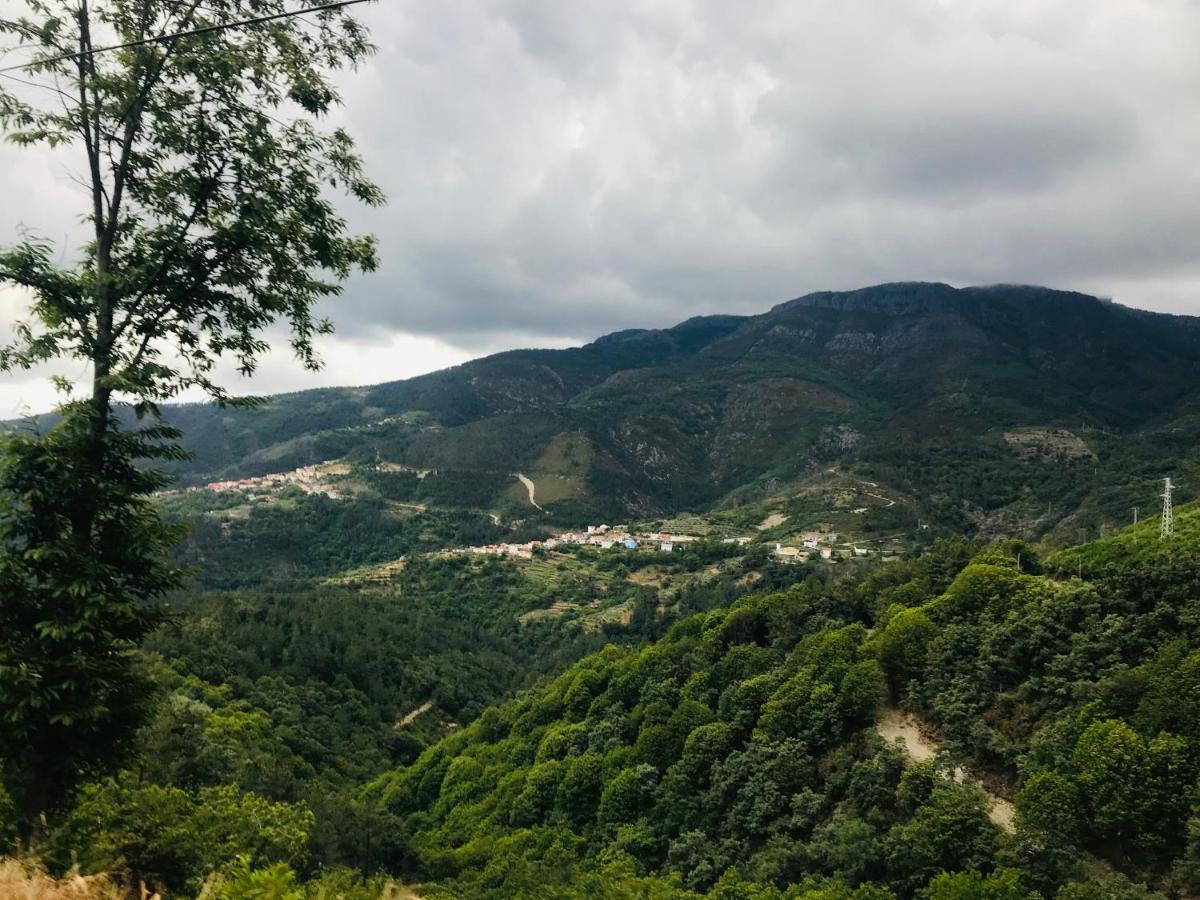 "Casa Do Avo Armindo" Mountain Experience Villa วีลาเรอัล ภายนอก รูปภาพ
