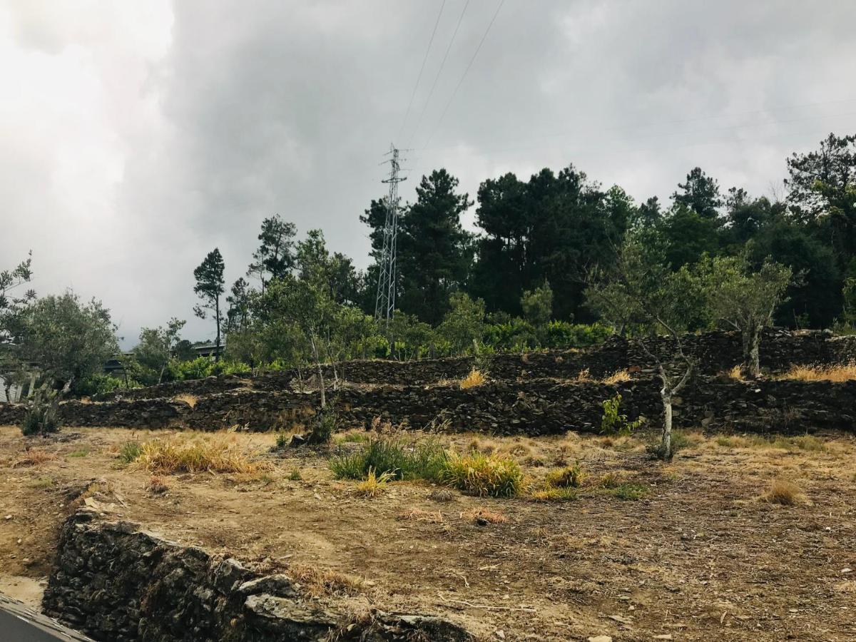 "Casa Do Avo Armindo" Mountain Experience Villa วีลาเรอัล ภายนอก รูปภาพ